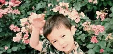 鹿晗爆料小时候视频,揭秘明星小时候的萌态瞬间  第1张