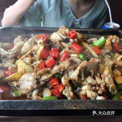 牛蛙爱上鱼爆料视频,一场跨越物种的浪漫邂逅  第3张