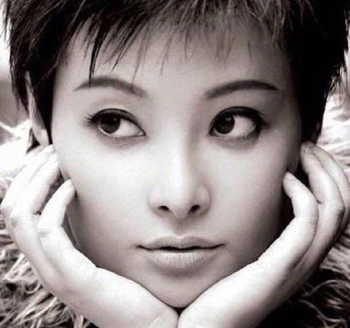 袁立最新爆料新闻,最新爆料揭露惊人内幕  第1张