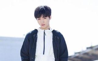 圈内人天涯爆料王俊凯,揭秘明星背后的真实故事 第1张 圈内人天涯爆料王俊凯,揭秘明星背后的真实故事 第1张